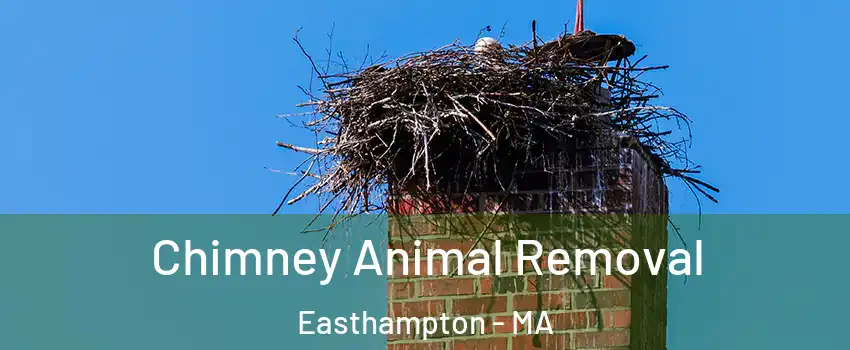  Chimney Animal Removal Easthampton - MA