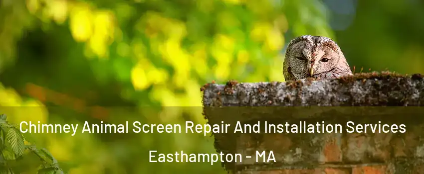  Chimney Animal Screen Repair And Installation Services Easthampton - MA