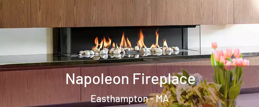  Napoleon Fireplace Easthampton - MA